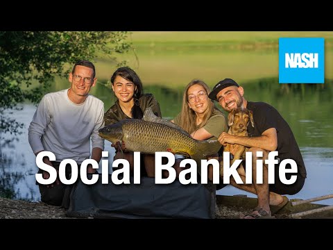 Social Nash Team España | Banklife