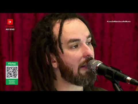 Mato Seco - Raiz Forte [Live do Mato #ResistirSempreVencerá Nº3]