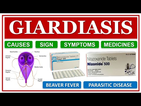 Hpv vírustörzs 16