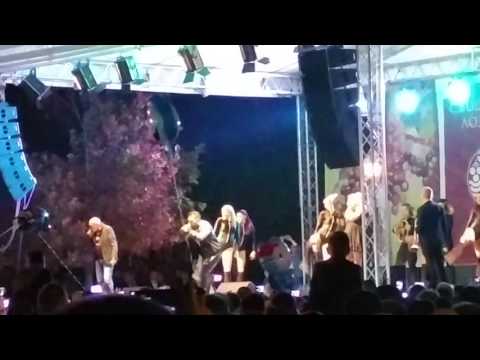 Гъмзата, Годжи, Нели