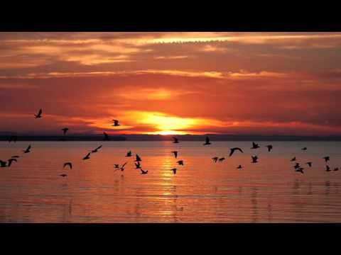 Afrikan Roots - Say Yes (feat. Mizz Dee)