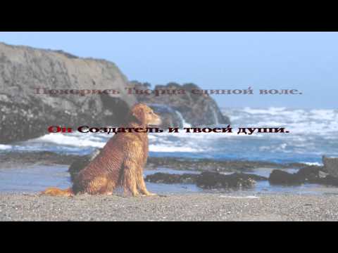 16. Создана земля по Божьей воле