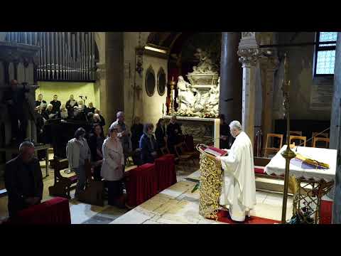 Devetnica sv Dujmu - Sv. Misa iz katedrale sv. Dujma - Split 29.04.2022. (UŽIVO)