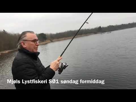 Mjøls Lystfisker: De huggede bare helt vildt….