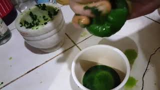 Dog Treatment for Colds, Flu and other Respiratory Problem (Natural Remedy) l Luckycharm