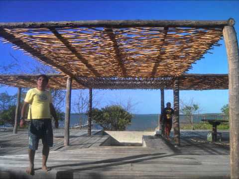 Te Amo Sim video