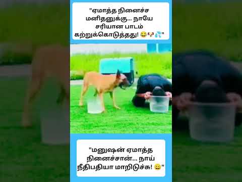 😂🐶💦