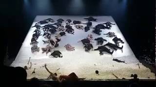 &quot;King Arthur&quot;- The Cold Song