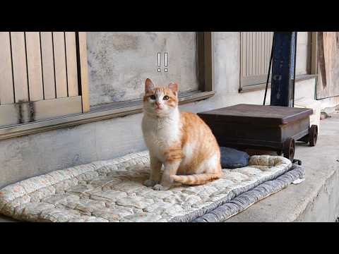 방금 밥 먹었잖아