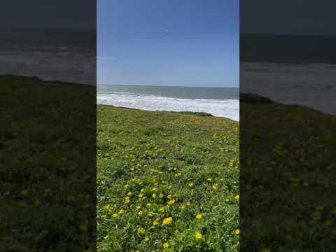 Halfmoon bay California, Sanjose