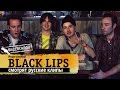 Русские клипы глазами американских рокеров Black Lips (Видеосалон №18) 