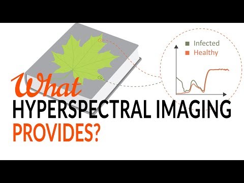 What Hyperspectral Imaging provides - Tutorial