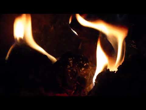 BKD AMERIKA | Asap Rio, Bong Alex, Chrezz, Andre May