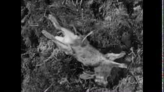 Deaf Center - Close Forever Watching