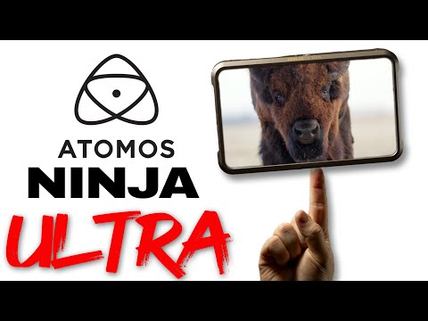 Atomos Ninja Ultra Review for Wildlife & Filmmaking (Real-World Test)