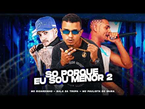 SO PORQUE EU SOU MENOR 2 - MC Ricardinho, Bala da Tropa, MC Paulista do Ibura ( Remix Brega Funk )
