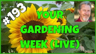 Simplify Vegetable Gardening (Q&A)