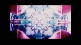 Frank Zappa 9 Types Of Industrial Pollution Left Minus Right Audio Channel Mix   US Enclosure Co