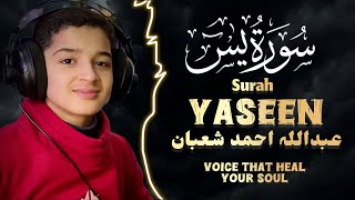 Download lagu Most Viral Recitation By Qari Abdullah Ahmed Shaban Surah al Yasin in Smooth Voice #shaban #tilawat mp3 Download lagu Most Viral Recitation By Qari Abdullah Ahmed Shaban Surah al Yasin in Smooth Voice #shaban #tilawat mp3