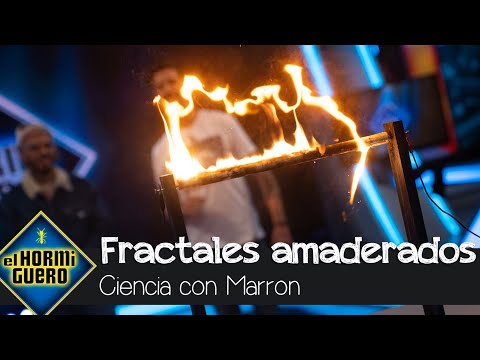 Marron hace brillar uniendo madera y electricidad en la ciencia - El Hormiguero