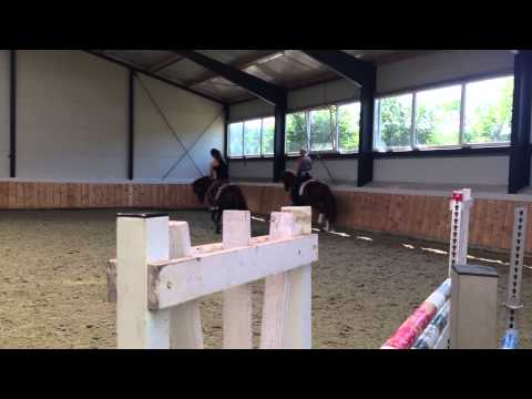 Belissa im trabe - Staatsprämienanwärterin von Belissimo M x Welt Hit II