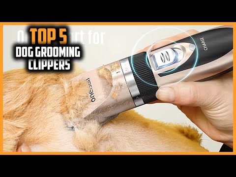 ✅Top 5 Best Dog Grooming Clippers of 2022