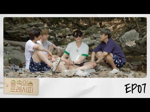 숲속의 포레시피 EP07 포레스텔라의 '화음' 레시피 | Forrecipe In The Woods EP07