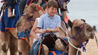 All Purpose Camel Saddle