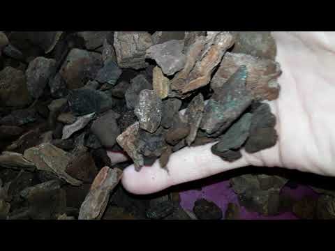 A disaster - use of old bark media that has been either boiled or baked