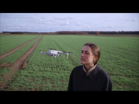 Liza Dries - Niks Zonder Jou