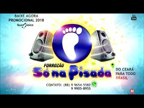 FORROZÃO SÓ NA PISADA