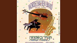 Timche - תמחה