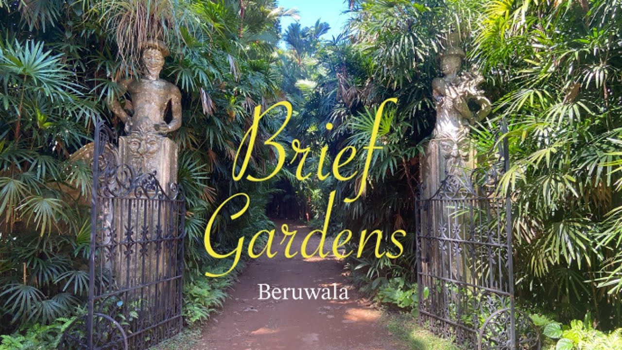 Explore Brief Garden through the lens of an explorer.
