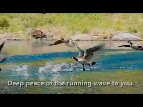 Deep Peace Of The Running Wave To You - Misc Praise Songs