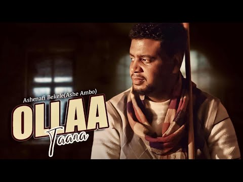 Ashenafi Bekele - Ollaa Taana | New Ethiopian Oromo Music 2025 (Official Video)