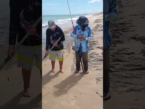 pesca de brutos em São Bento do norte rn..(3)