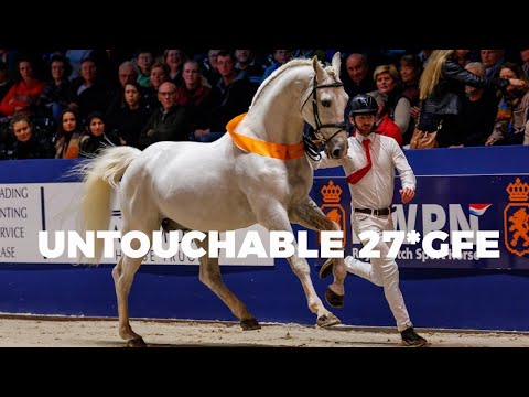 UNTOUCHABLE 27*GFE