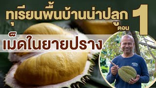 สวนตาก้าน (2563) แนะนำทุเรียนพันธุ์พื้นบ้านน่าปลูก ตอน พันธุ์เม็ดในยายปราง