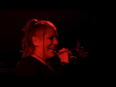 The Warnes - El Magno