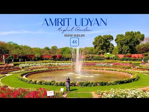 अमरित उद्यान: राष्ट्रपति भवन के दिल में बसा इतिहास, प्रकृति और सौंदर्य का अद्भुत संगम