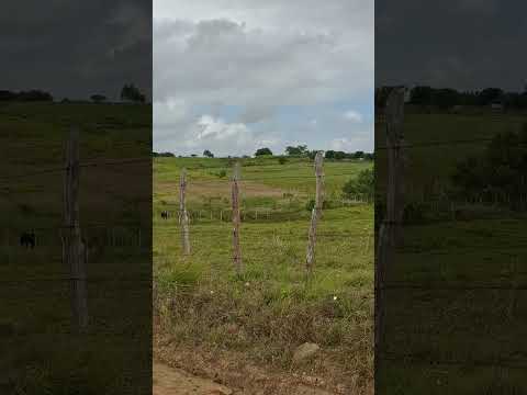 FAZENDA LINDA COM AÇUDE NO MUNICÍPIO DE LOGRADOURO-PB