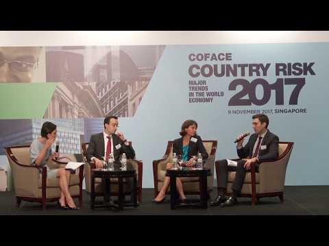 2017 Coface Country Risk Conference - Panel Discussion One