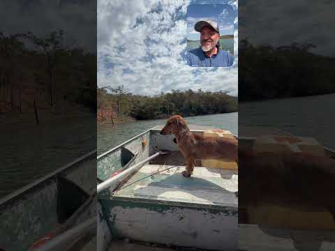 Ribeirão bonito em Ponte Alta do Bom Jesus Tocantins