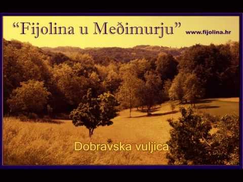 dobravska vuljica ( cd "Fijolina u Međimurju" pjesma no.4 )