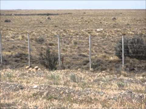 Hugo Gimenez Aguero - La centollera