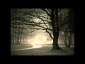 Michel Jonasz - C'est la Nuit (1981) 