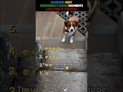 Ranking Funny Unfriendly Dogs