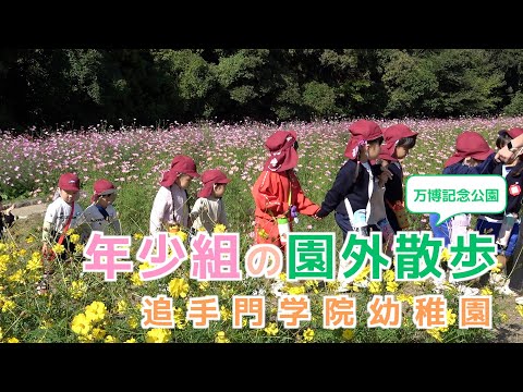 情報学科 【追手門学院幼稚園】年少組が満開のコスモス畑で園外散歩（幼保連携型認定こども園 追手門学院幼稚園）