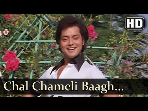 क्रोधी - चल चमेली बाग में मेवा खिलाऊंगा - सुरेश वाडेकर - लता मंगेशकर