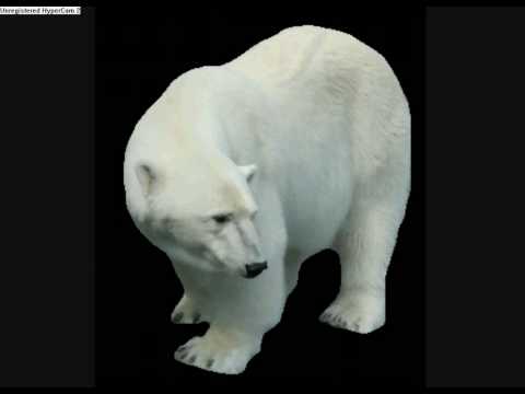 Dj Polar Bear- Fort Minor (PBBremix) instrumental
